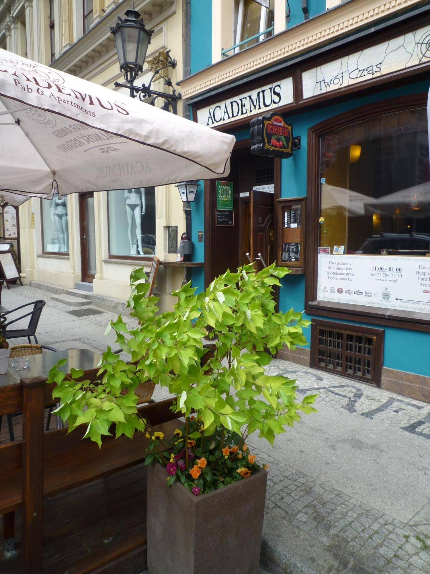 Academus Pub & Guest House Wroclaw Dış mekan fotoğraf